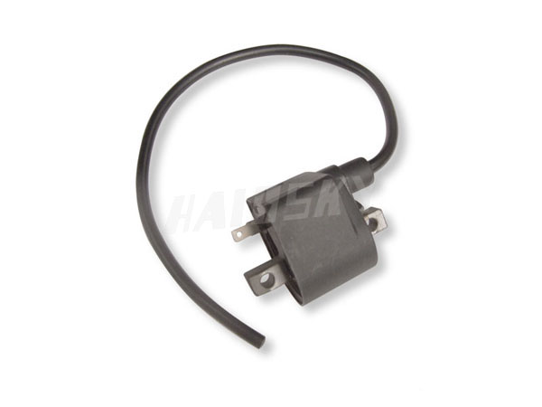 AX100 Ignition Coil